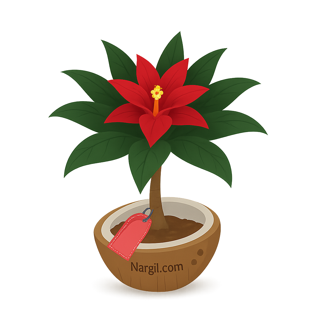  Nargil - Black Amazonian Birdnest